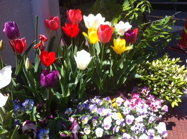 【MOVIEブログ】4月7日～13日のつれづれ日記