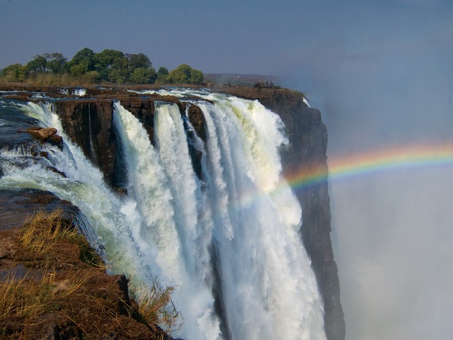 『ネイチャー』-(C)BBC Earth Productions (Africa) Limited and Reliance Prodco EK LLC 2014