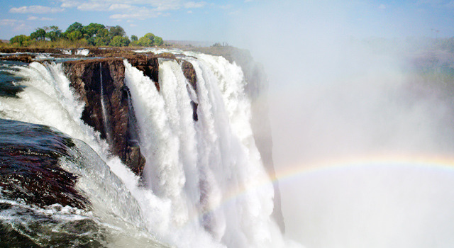 『ネイチャー』-(C)BBC Earth Productions (Africa) Limited and Reliance Prodco EK LLC 2014