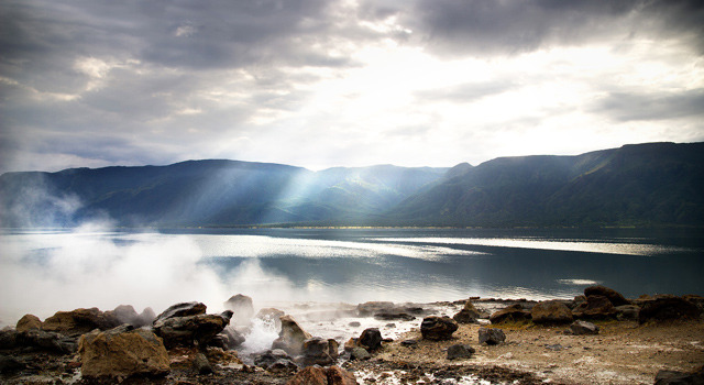 『ネイチャー』-(C)BBC Earth Productions (Africa) Limited and Reliance Prodco EK LLC 2014