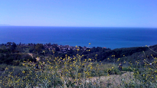 iPhoneで撮影したサンタモニカの風景