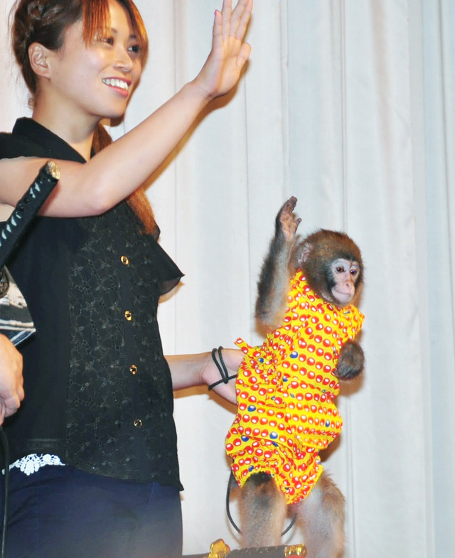 『超高速！参勤交代』浴衣試写会