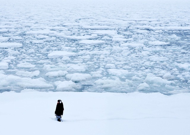『私の男』-(C) 2014『私の男』製作委員会