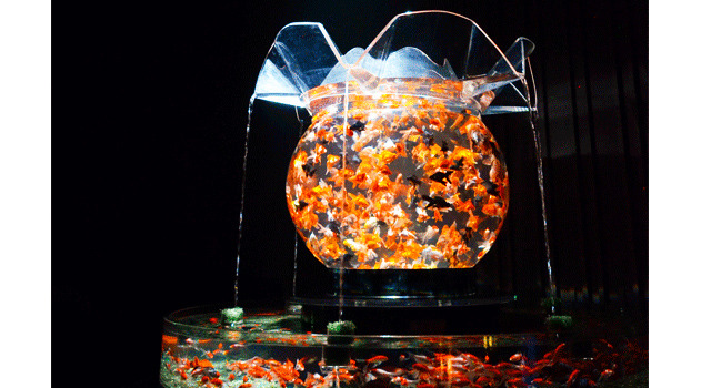 花魁「Oiran」　※展示イメージの参考画像