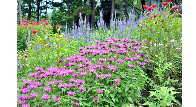 赤倉観光ホテル ホテルガーデン