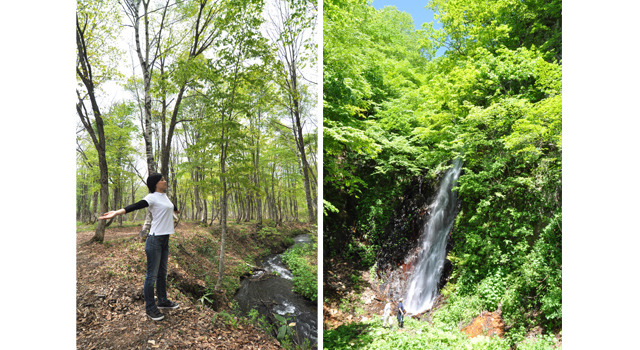 赤倉観光ホテル近くの妙高高原にて自然の力を体内に取り込むアクティブな癒し「森林セラピー」を体験。写真右は、香澄の滝。