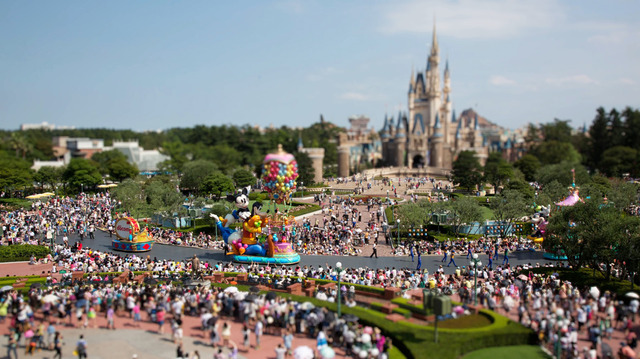 TDR初のタイムラプス動画より一部抜粋