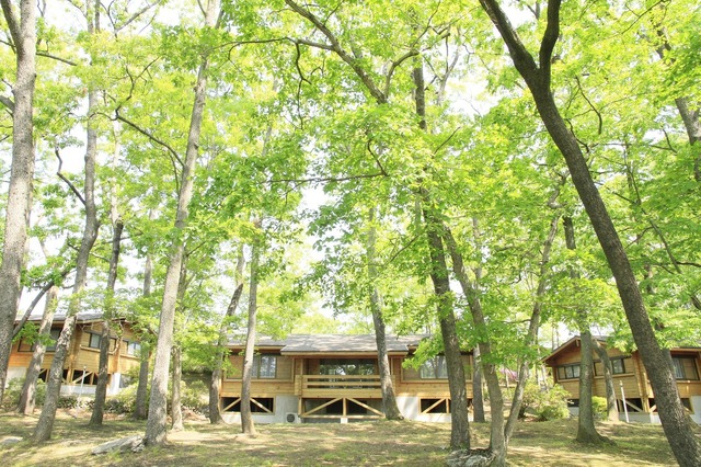 「夜空と交差する森の映画祭 2014」