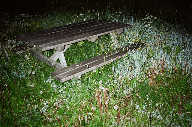 元スーパーモデル、リナ・シェイニウスの写真展がオプティチュードで開催