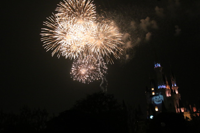 東京ディズニーリゾートのハロウィーンを楽しみ尽す21個のポイント