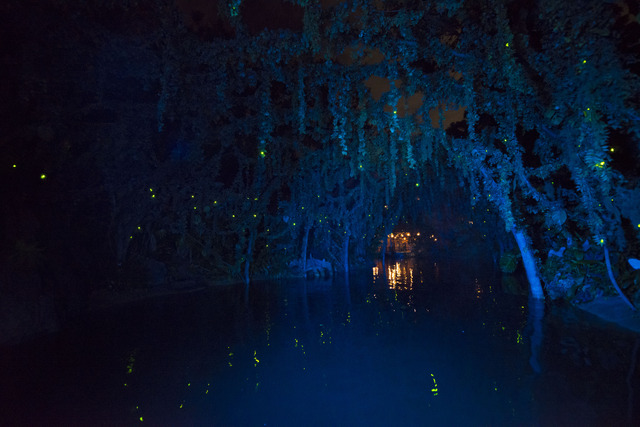 リニューアルした「ジャングルクルーズ：ワイルドライフ・エクスペディション」 in 東京ディズニーランド