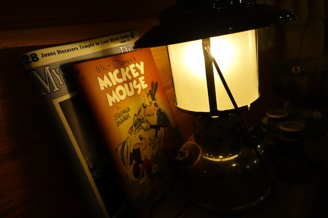 リニューアルした「ジャングルクルーズ：ワイルドライフ・エクスペディション」 in 東京ディズニーランド