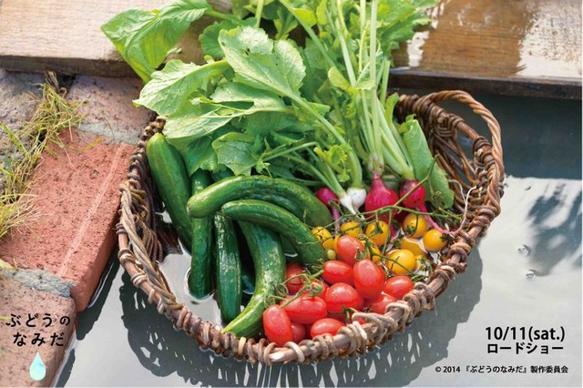 (C) 2014『ぶどうのなみだ』製作委員会