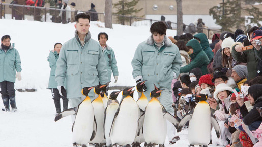 『旭山動物園物語　ペンギンが空をとぶ』 -(C) 2008　『旭山動物園物語』製作委員会