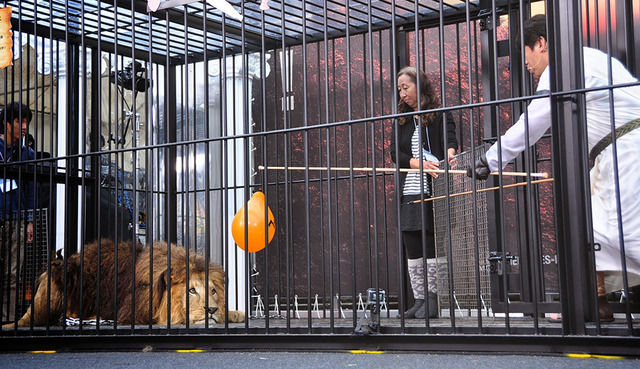 寺門ジモン／『ヘラクレス』公開直前イベント