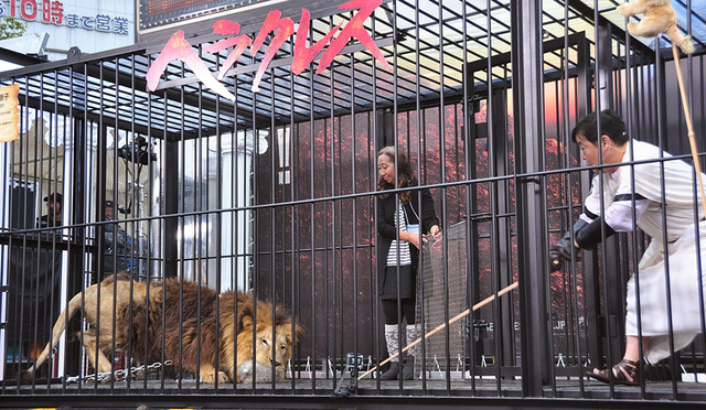 上島竜兵／『ヘラクレス』公開直前イベント