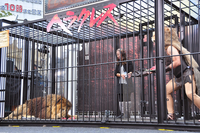 寺門ジモン／『ヘラクレス』公開直前イベント