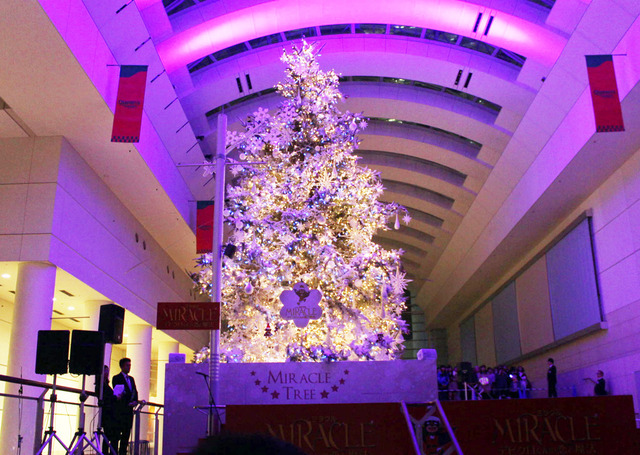 『MIRACLE デビクロくんの恋と魔法』 in 横浜みなとみらい・クイーンズスクエア横浜「ミラクル☆ツリー」イルミネーション点灯式