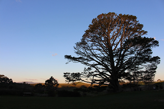 ホビット庄-(C) “Hobbiton Movie Set Tours” for Hobbiton