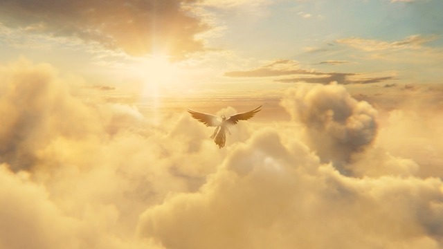 『マレフィセント』 -（C）2014Disney