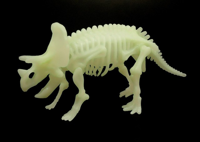 ムビチケ特典「真夜中に光る! 　トリケラトプスの化石パズル」／『ナイト ミュージアム/エジプト王の秘密』　-(c) 2014 Twentieth Century Fox Film Corporation