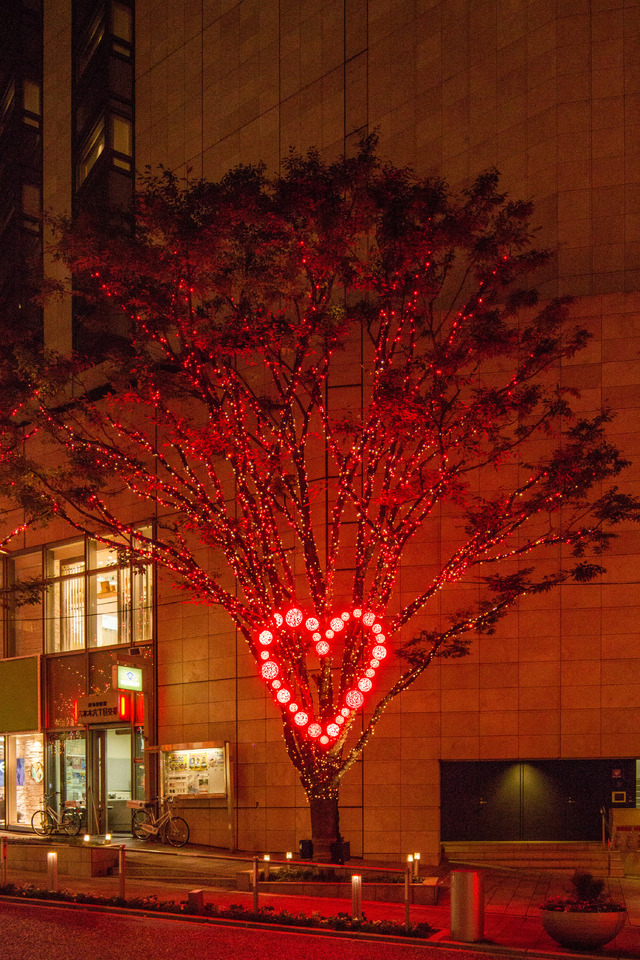 けやき坂イルミネーションの中には、こんなハートマークも見つけられる。