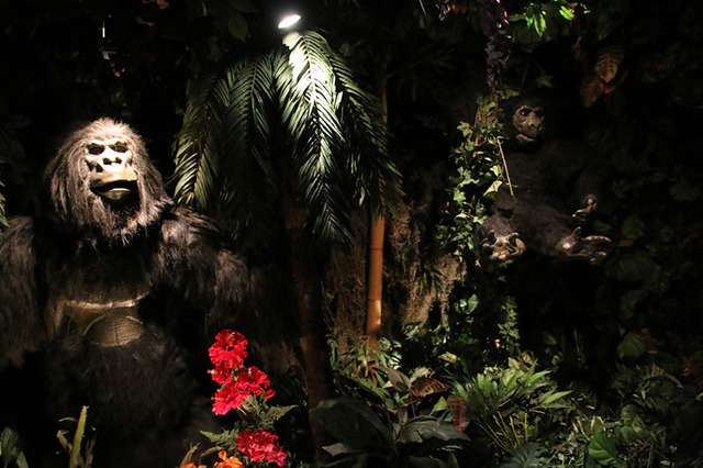 「レインフォレスト カフェ日本1号店」