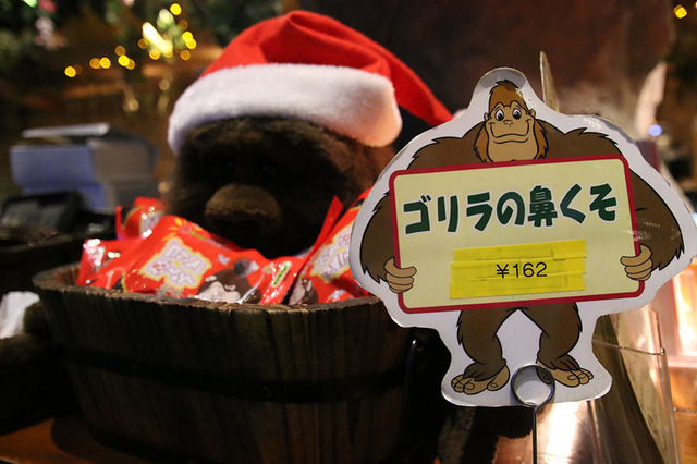 「レインフォレスト カフェ日本1号店」