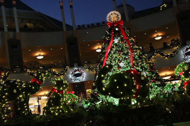 「クリスマス・ハーモニック・ツリー」