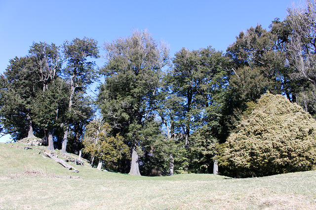 ビヨルンの家／クィーンズタウン