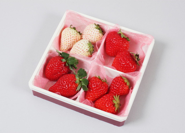 「横浜ストロベリーフェスティバル2015」で販売される「いちご4種食べ比べセット」。珍しい白いちごが入っている。