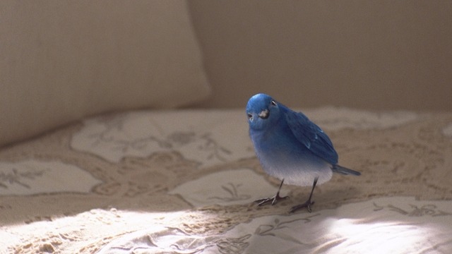 江崎グリコ「プリッツ」新CM