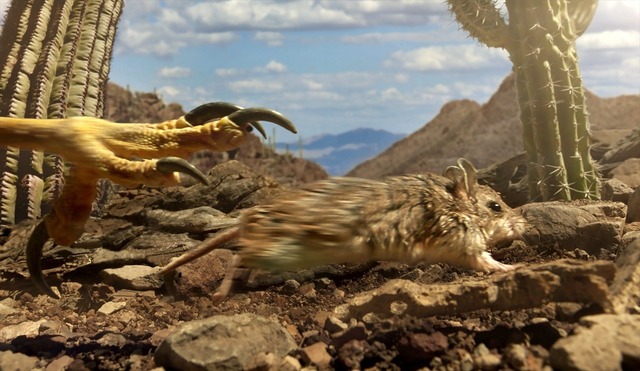 『小さな世界はワンダーランド』　(C)BBC 2014