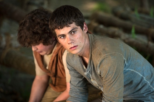 ディラン・オブライエン／『メイズ・ランナー』　-（C）2014 Twentieth Century Fox Film.