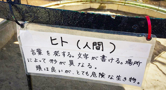 先日行った動物園での1枚