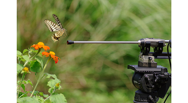 『アリのままでいたい』 - (C) 2015「アリのままでいたい」製作委員会