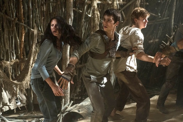 トーマス・ブロディ=サングスター／『メイズ・ランナー』　-（C）2014 Twentieth Century Fox Film.