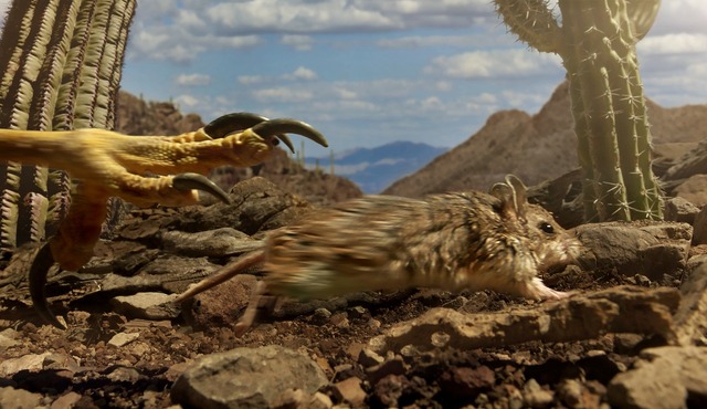 『小さな世界はワンダーランド』　(C)BBC 2014