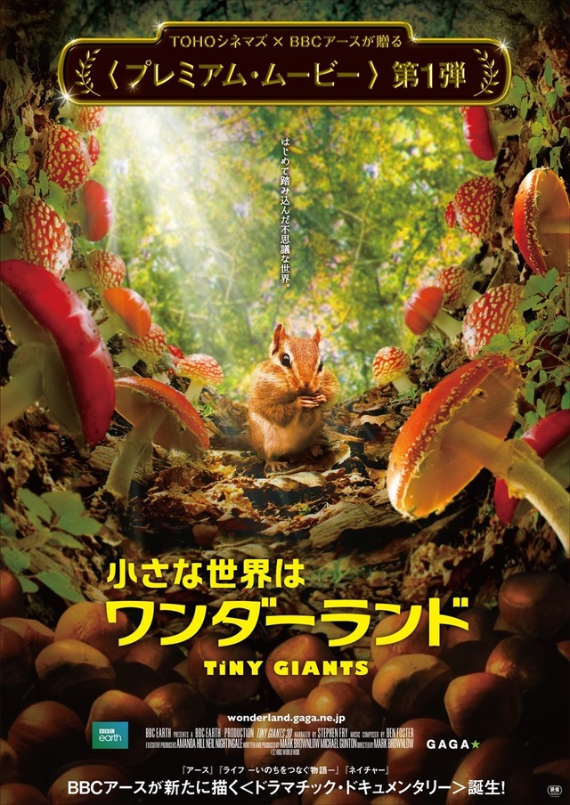 『小さな世界はワンダーランド』　(C)BBC 2014
