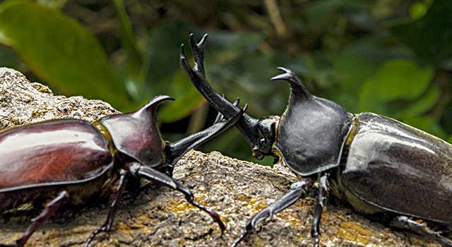 『アリのままでいたい』 - (C) 2015「アリのままでいたい」製作委員会