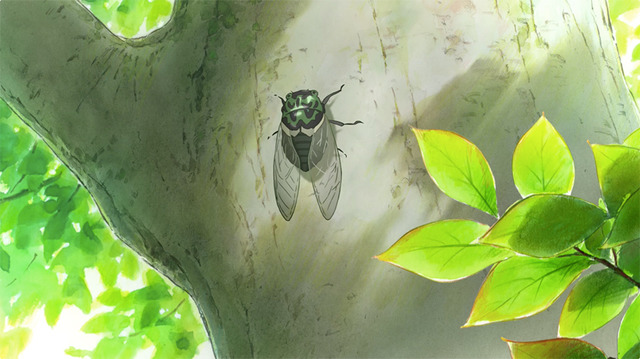 「JR 西日本 SUMMER TRAIN！」