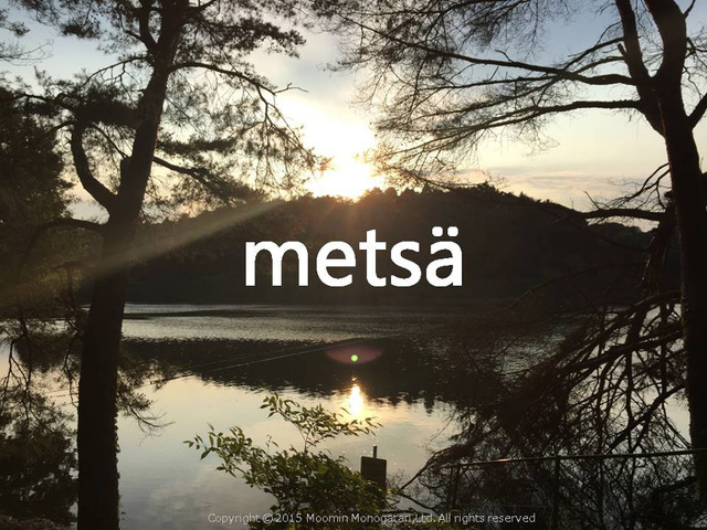 ムーミンテーマパーク「Mestsa メッツア」 - (C) Moomin Monogatari, Ltd. All rights reserved