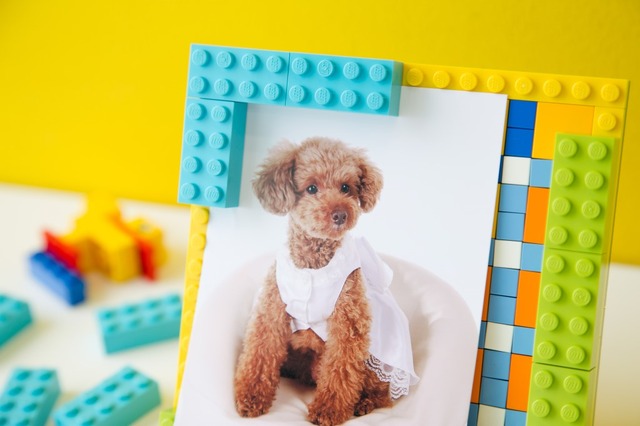 新たに大人レゴ教室で開講されるフォトフレームつくり。色の組み合わせは無限大。