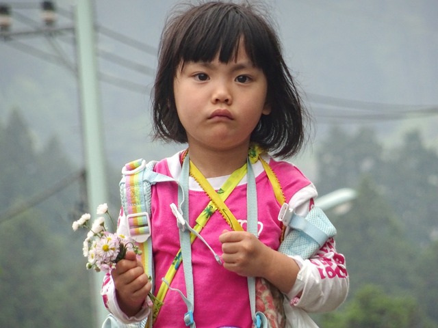 「はじめてのおつかい！夏の大冒険スペシャル」