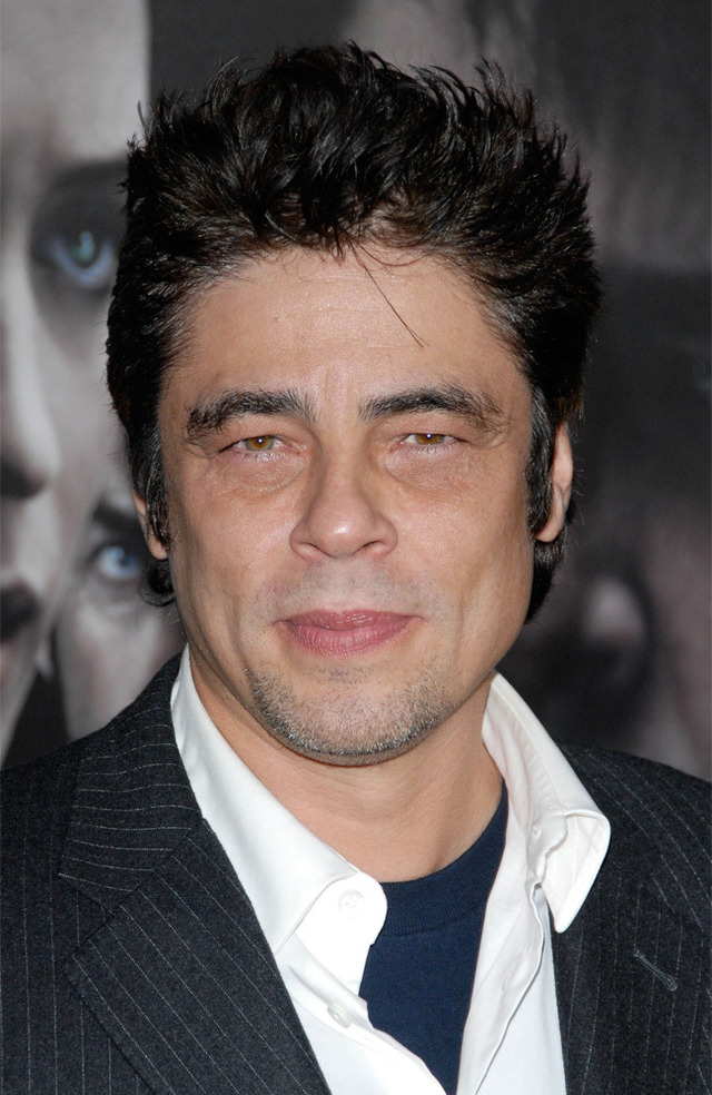 ベニチオ・デル・トロ