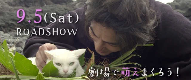 『猫侍　南の島へ行く』マナーCM　(C)2015「続・猫侍」製作委員会