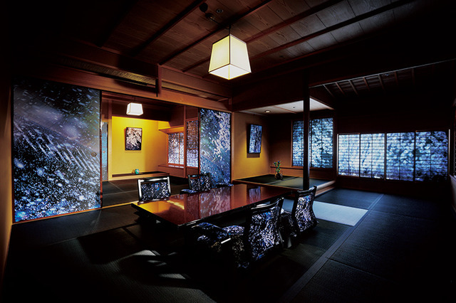 HOTEL HORIZONTAL 蜷川実花×大和屋本店「PLANT A TREE」