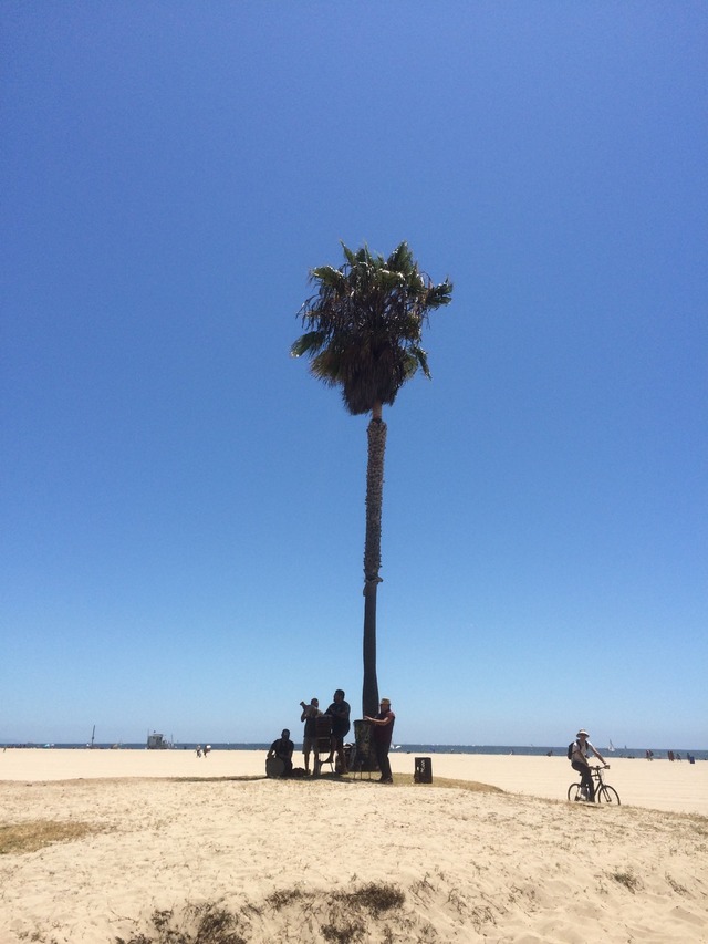 抜けるようなＬＡの青空