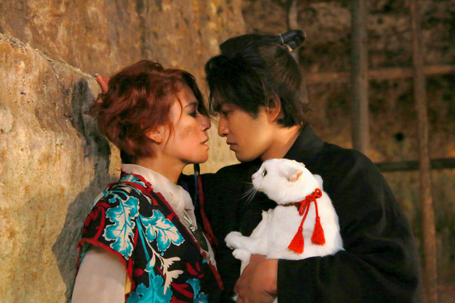 『猫侍　南の島へ行く』(C)2015「続・猫侍」製作委員会