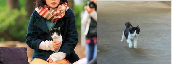 映画『猫なんかよんでもこない。』公開記念イベント「一日だけの猫映画祭」